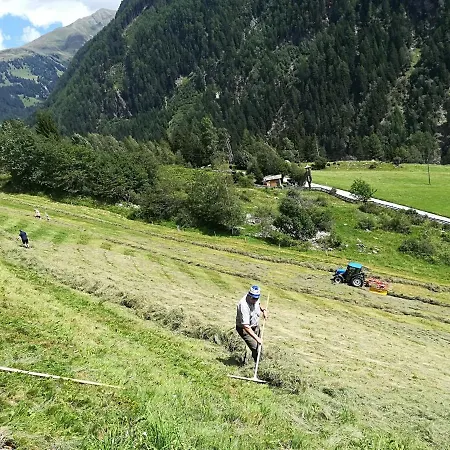 Alojamento de Turismo Rural Niederarnigerhof Familie Bauernfeind *
