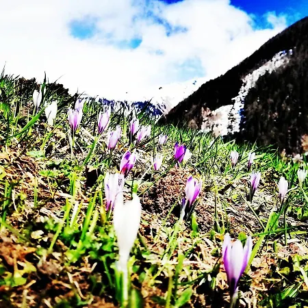 Farm stay Niederarnigerhof Familie Bauernfeind Kals am Grossglockner
