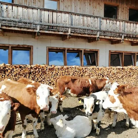 Niederarnigerhof Familie Bauernfeind *