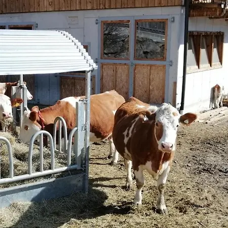 Farm stay Niederarnigerhof Familie Bauernfeind