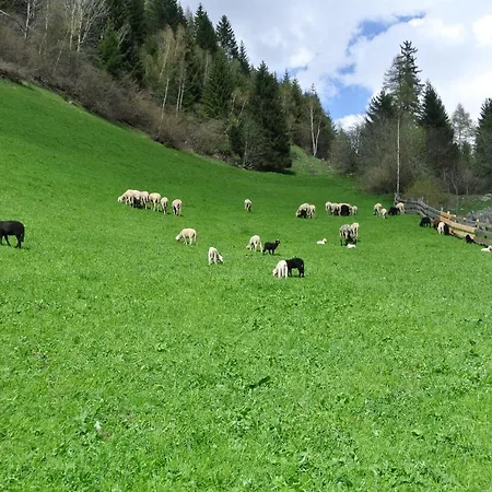Фермерский дом Niederarnigerhof Familie Bauernfeind